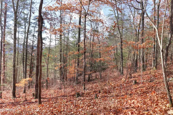 Lot 86 Norris Shores DR, Sharps Chapel, TN 37866