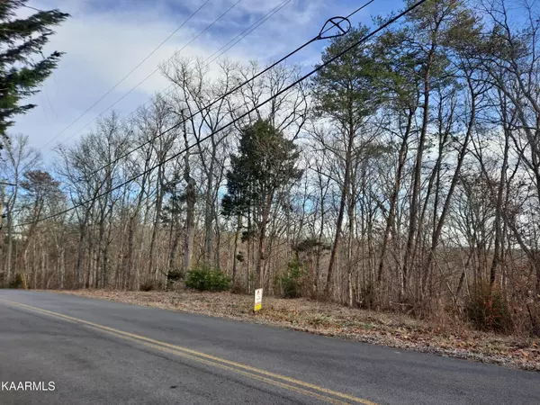 Dandridge, TN 37725,Ponderosa Dr