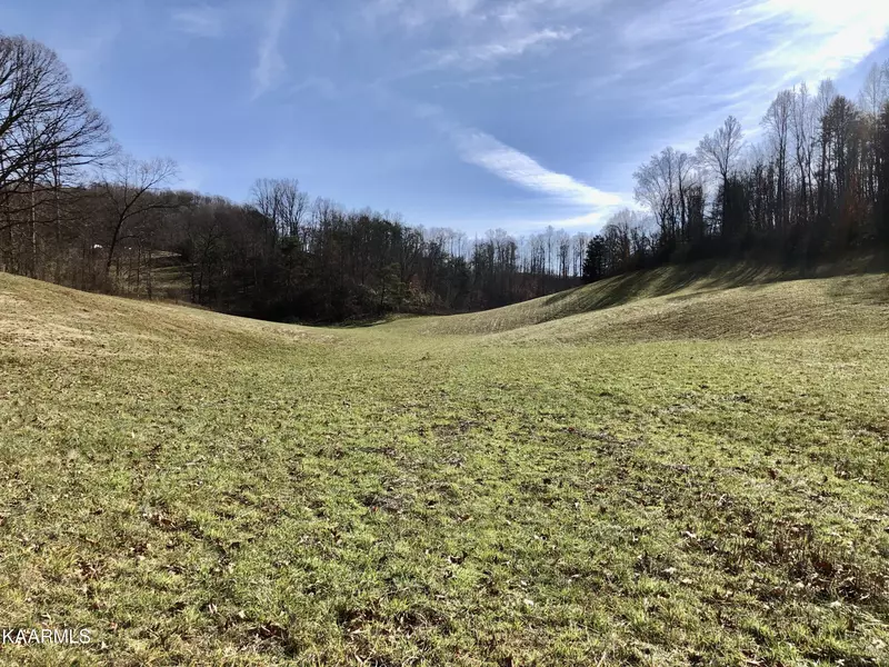 Trent Valley Rd, Sneedville, TN 37869