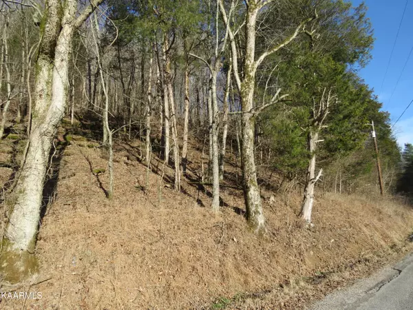 Pleasant Shade, TN 37145,91 Carver Hollow Road