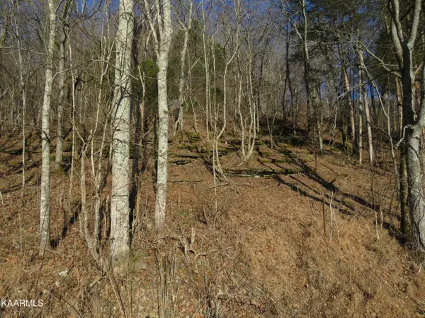 Pleasant Shade, TN 37145,91 Carver Hollow Road