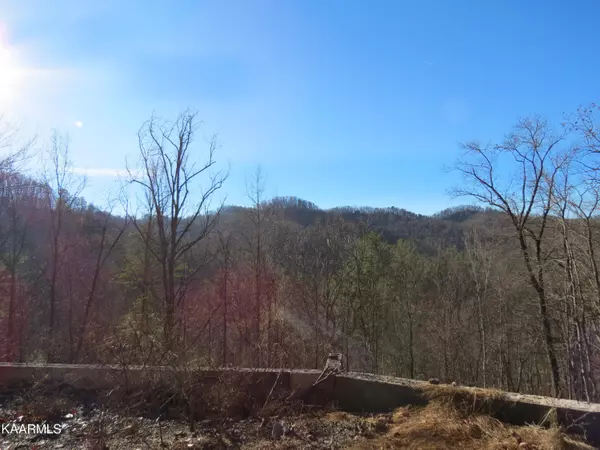 Pigeon Forge, TN 37862,2320 Headrick Lead