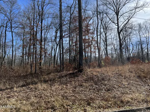 Lot 24 Tom Patterson Trail Tr, Dandridge, TN 37725