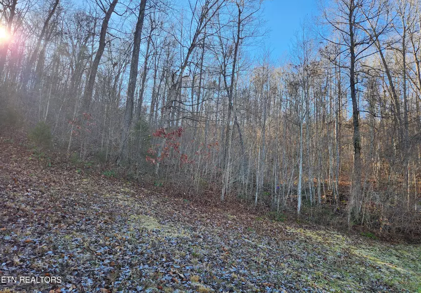 Lot 129 Suncrest CV, Lafollette, TN 37766