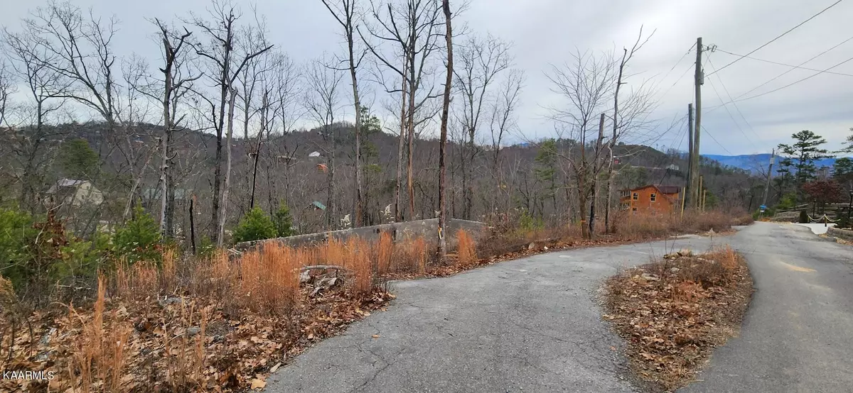 Sevierville, TN 37876,2333 Panther WAY