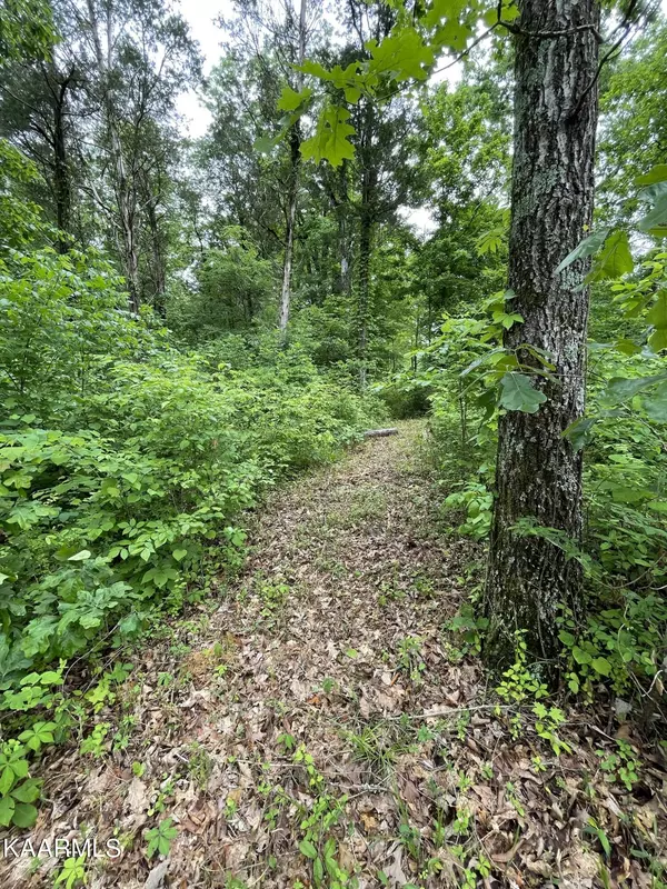 Seymour, TN 37865,French Broad River Rd Lot 2