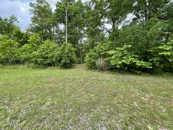 Seymour, TN 37865,French Broad River Rd Lot 2