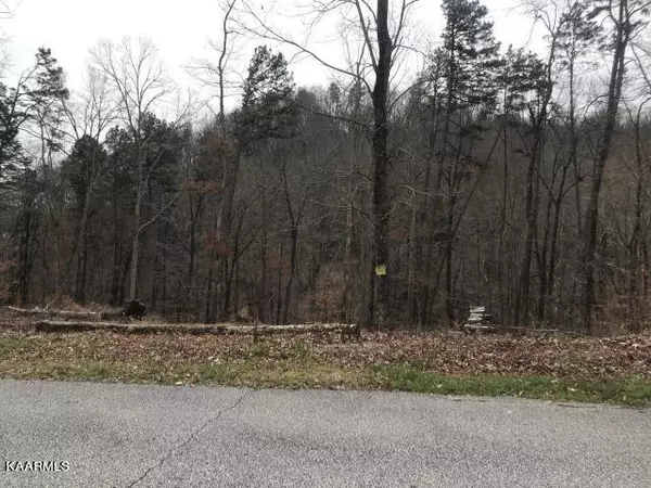 Rockwood, TN 37854,Sawmill Cove