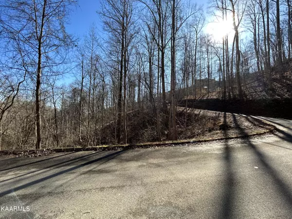 Sevierville, TN 37862,Lot 106 Bluff Ridge Road