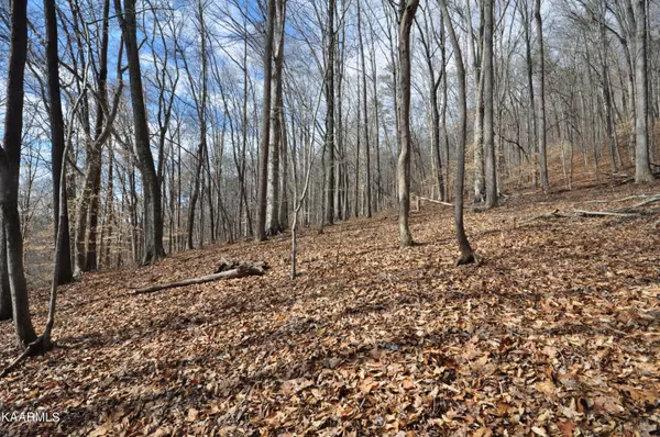 Rocky Top, TN 37769,Lovely Bluff Rd