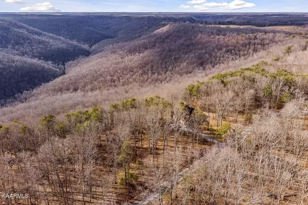 Spencer, TN 38585,Lot 14 Eagles Bluff CIR