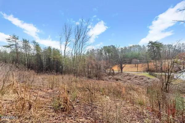 Maryville, TN 37803,Lot 101B1 Harrington CT