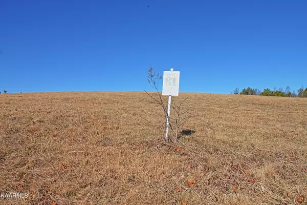 Jamestown, TN 38556,Lot 81 Vista View Parkway