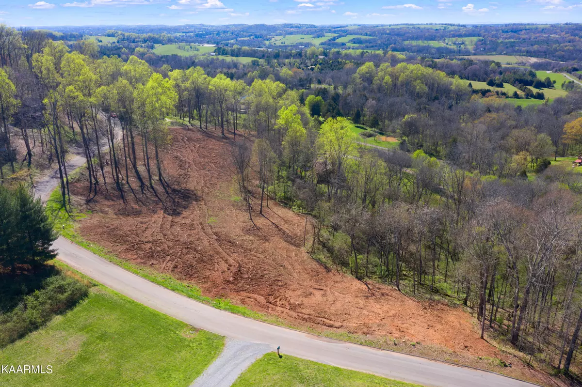 Philadelphia, TN 37846,Lot 9 & 10 Eagle Ridge DR