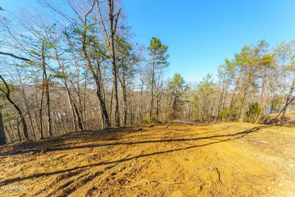 Nancy PT, Spring City, TN 37381