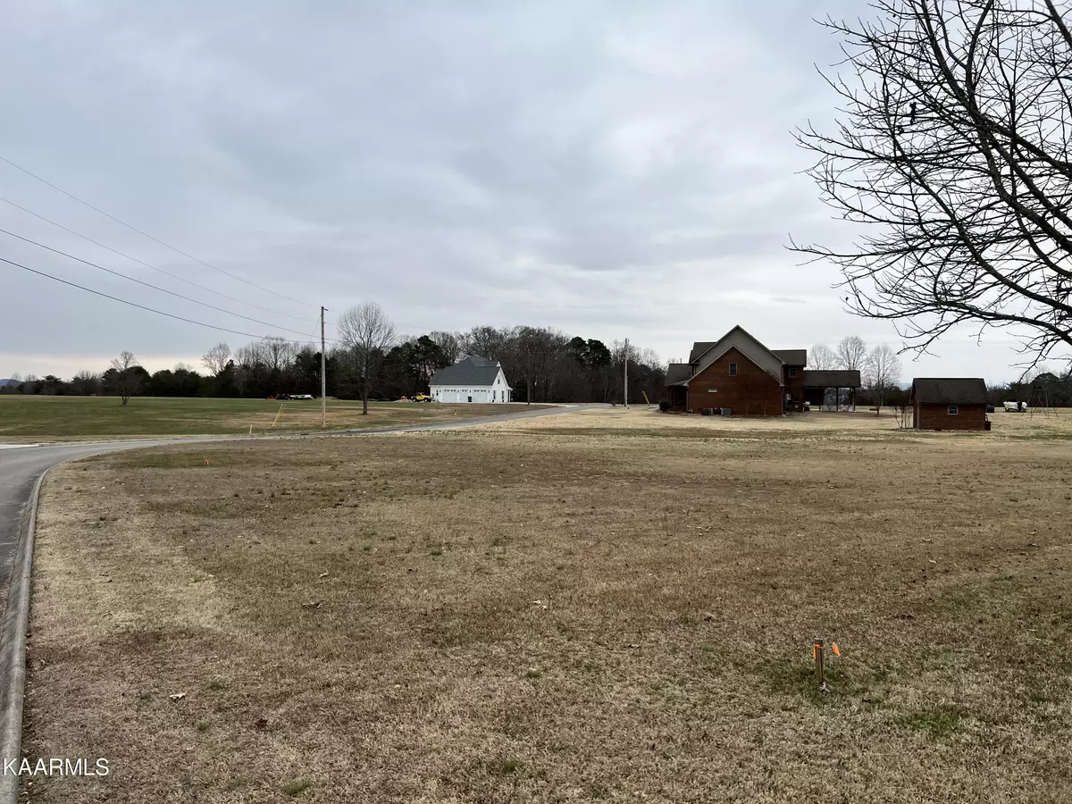 Baneberry, TN 37890,Lot 21 Horizon DR