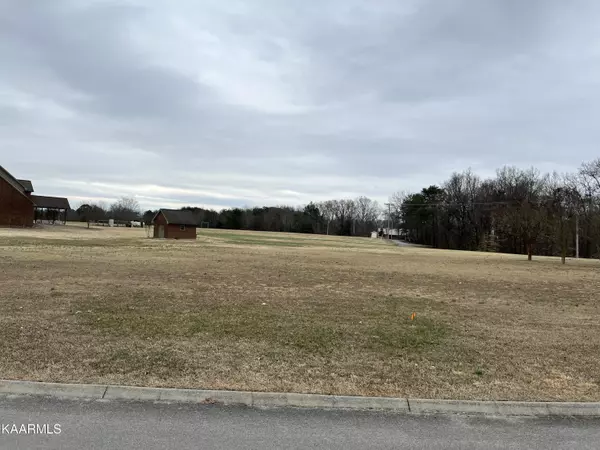 Baneberry, TN 37890,Lot 21 Horizon DR