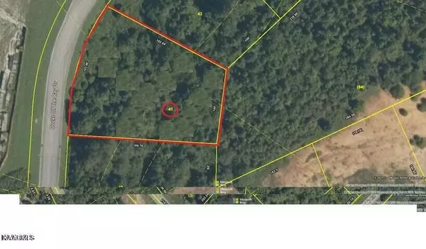 Lot 41 Meadow LN, Rockwood, TN 37854