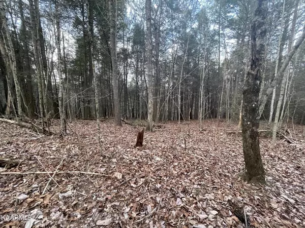 Deer Lodge, TN 37726,412 white creek LOOP