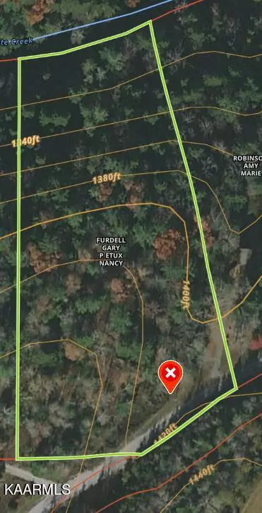 Deer Lodge, TN 37726,412 white creek LOOP