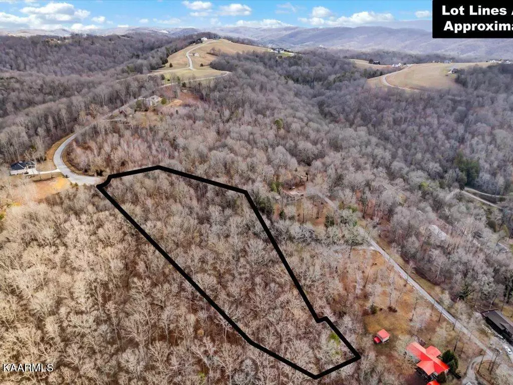 New Tazewell, TN 37825,Lot 244 Tanzanite Tr