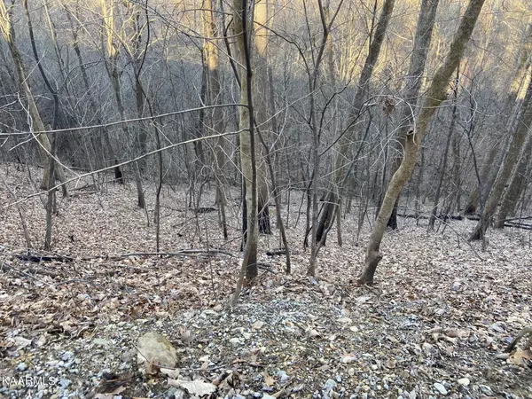 Sevierville, TN 37862,Lot 18 Sugar Maple Loop Rd