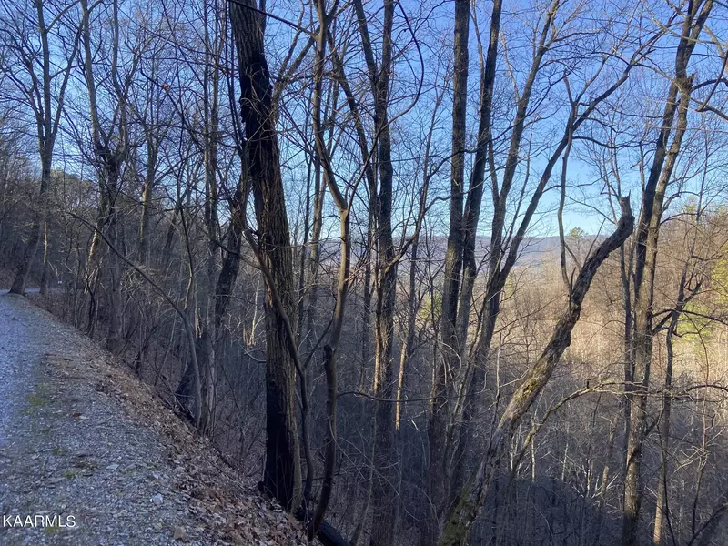 Lot 18 Sugar Maple Loop Rd, Sevierville, TN 37862