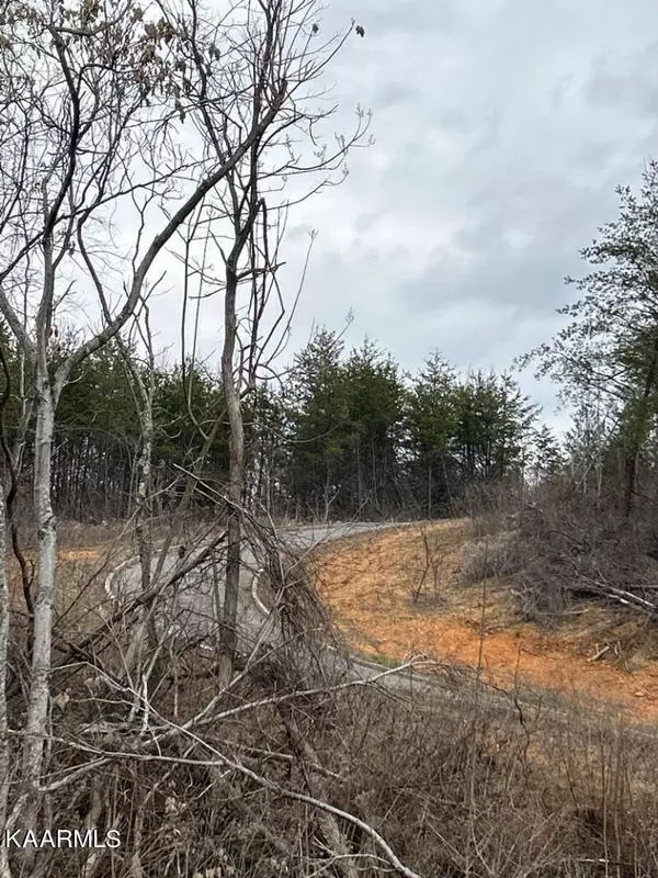 Bean Station, TN 37708,TBD Megans Tr