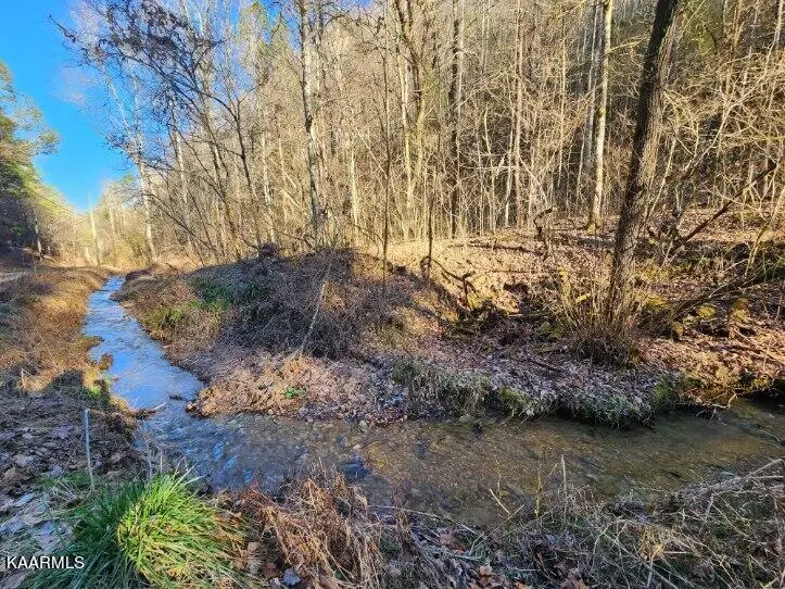 Sevierville, TN 37862,Lot 14 Hidden Hollow WAY