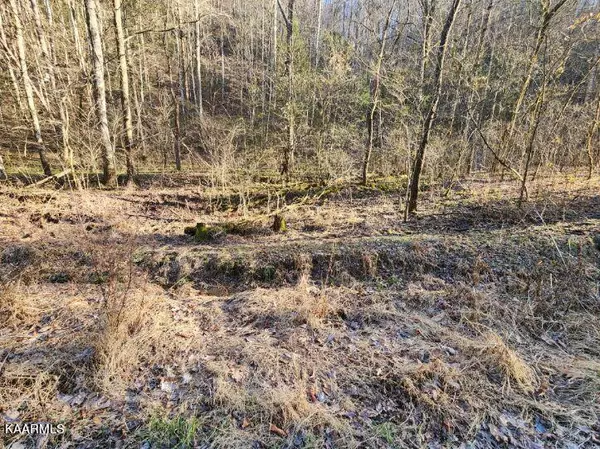 Sevierville, TN 37862,Lot 14 Hidden Hollow WAY