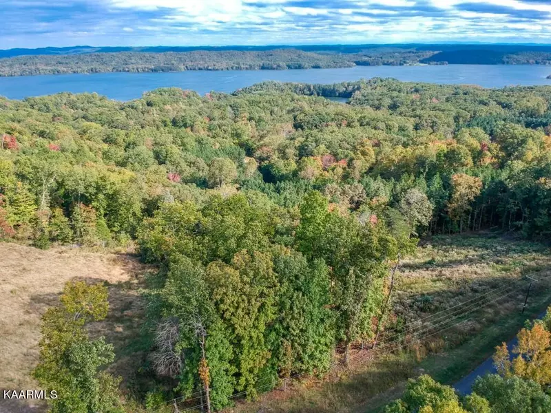 Lot 272 Spruce Drive, Spring City, TN 37381