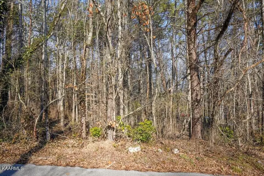 0 Pitch Pine DR, Powell, TN 37849