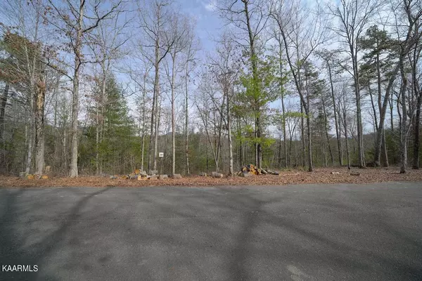 Sevierville, TN 37876,Lot #26 Mountain Ash Way