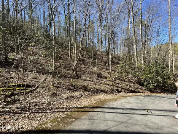 Townsend, TN 37882,Lot 13 Stonegate WAY