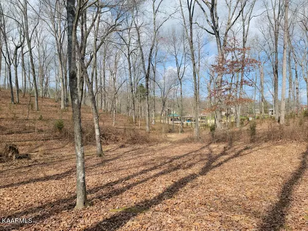 Lot 43 Waterfront Way, Spring City, TN 37381