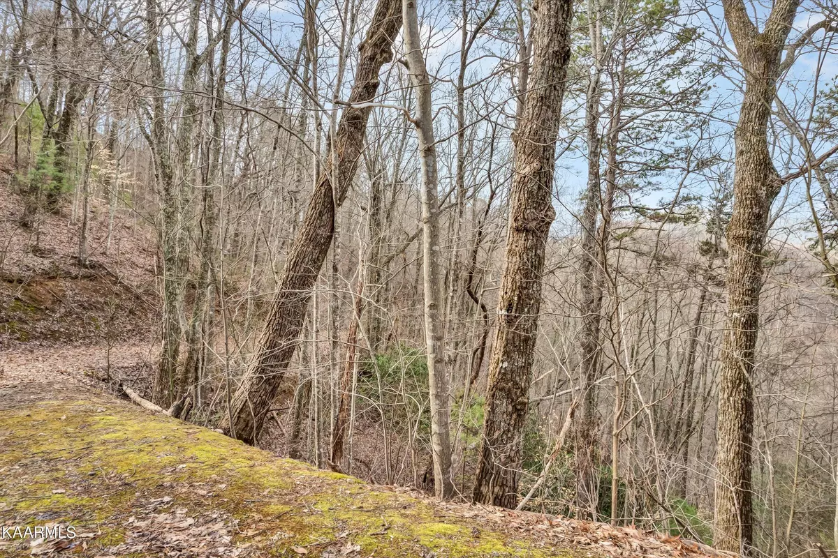 Sevierville, TN 37862,Lot 9 Shagbark Hickory