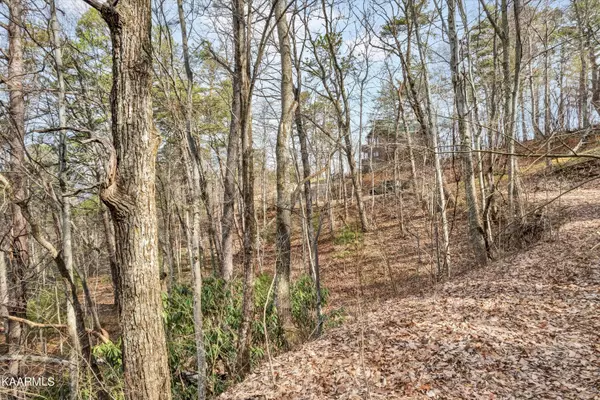 Sevierville, TN 37862,Lot 9 Shagbark Hickory