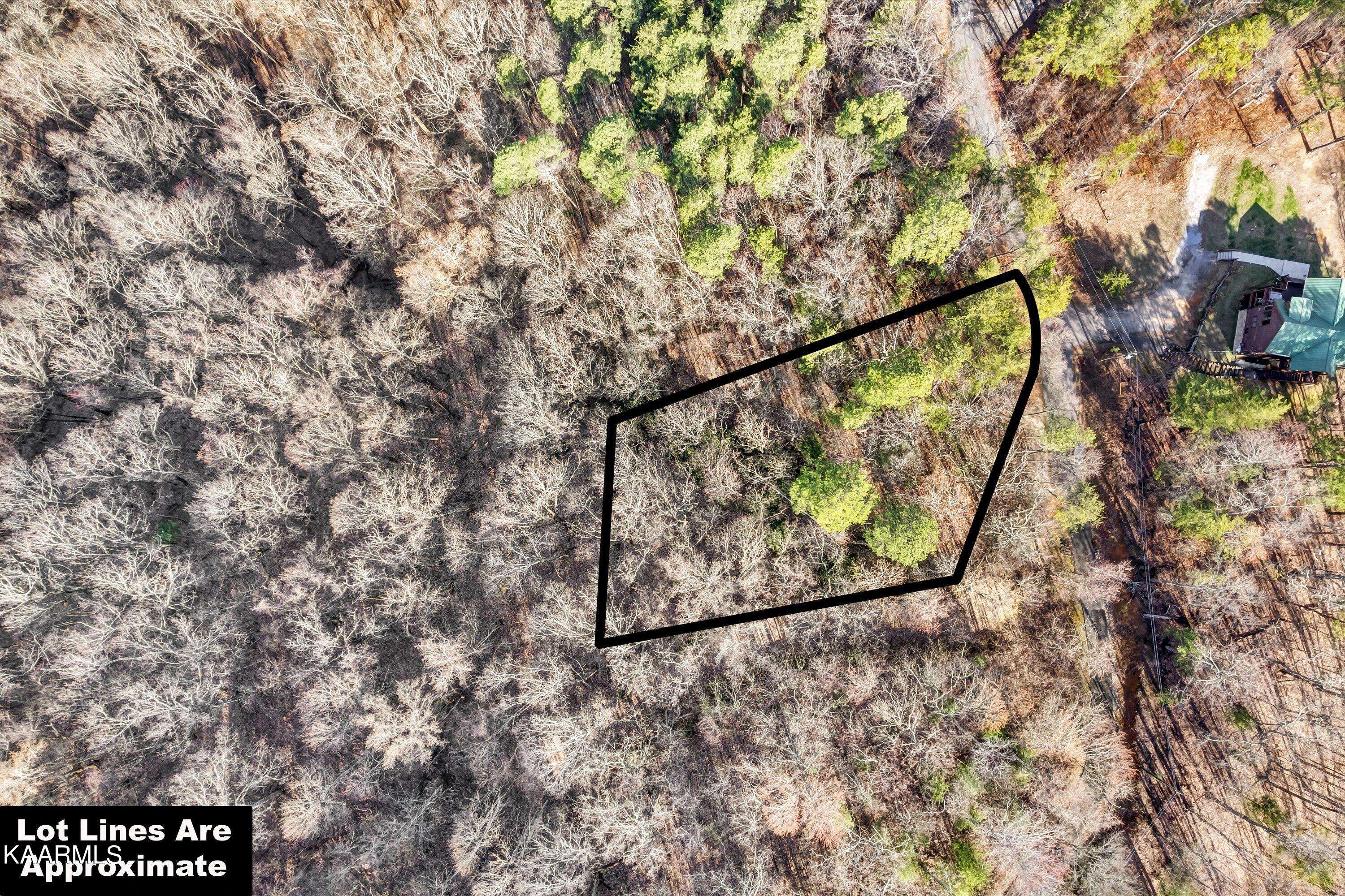 Sevierville, TN 37862,Lot 9 Shagbark Hickory