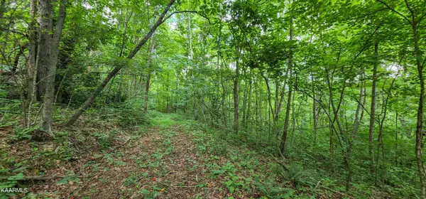 Tazewell, TN 37879,Lot 2 Peregrine DR