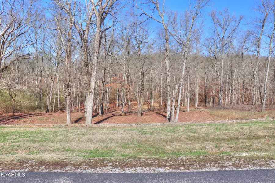 Lot 347 Water View DR, Rockwood, TN 37854