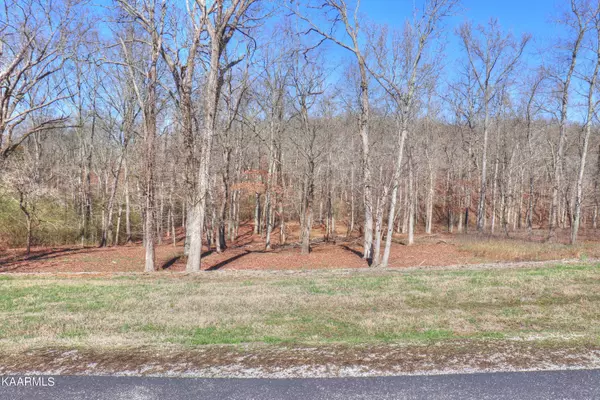 Lot 347 Water View DR, Rockwood, TN 37854