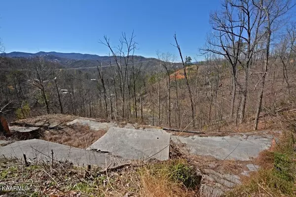 Gatlinburg, TN 37738,1253 Appalachian LN