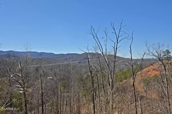 Gatlinburg, TN 37738,1253 Appalachian LN