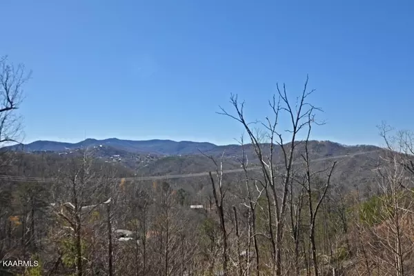 Gatlinburg, TN 37738,1253 Appalachian LN