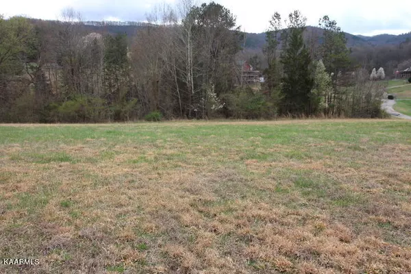 Cosby, TN 37722,Lot 40 Schisandra LN