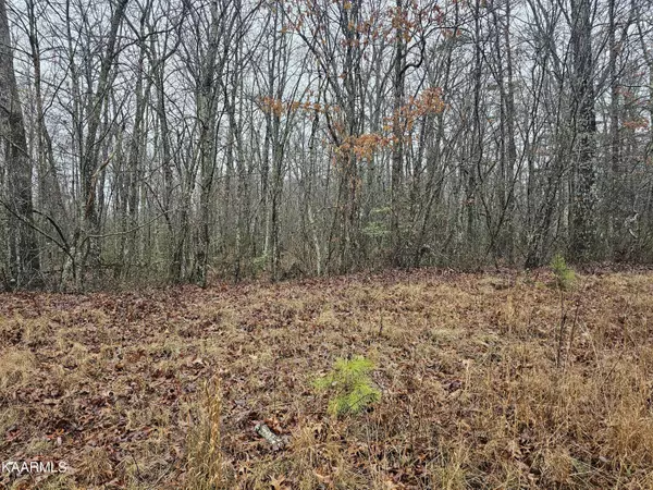 Jamestown, TN 38556,Lot 38 Jay LOOP