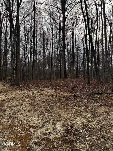 Lot 7 Grouse Ridge Rd, Harriman, TN 37748