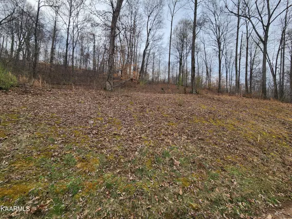 Lafollette, TN 37766,Lot 137 Suncrest CV