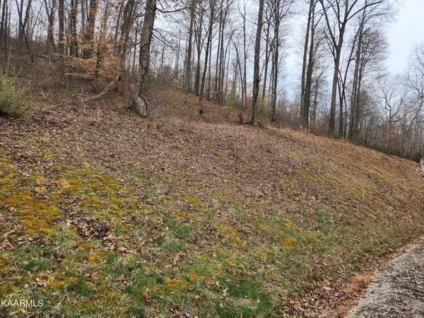 Lafollette, TN 37766,Lot 137 Suncrest CV