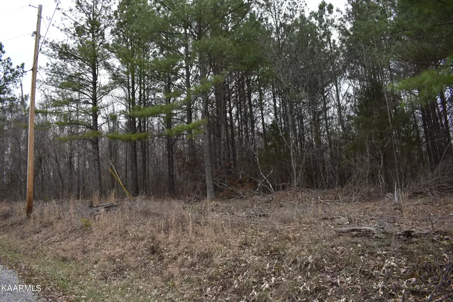 Lot 16 Jones Ridge Rd, Speedwell, TN 37870